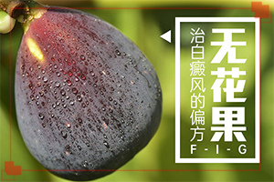 白顛瘋病初期照片癥狀,區(qū)別怎樣區(qū)別辨識(患上皮膚會有哪些特征)