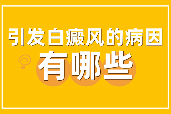 [健康要點(diǎn)]白癜風(fēng)發(fā)病的原因有哪些-是什么引起了白癜風(fēng)的發(fā)作